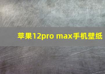 苹果12pro max手机壁纸