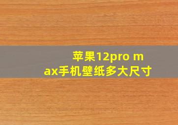 苹果12pro max手机壁纸多大尺寸