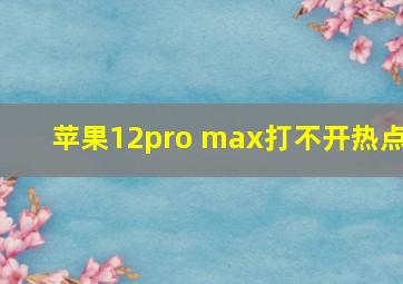 苹果12pro max打不开热点