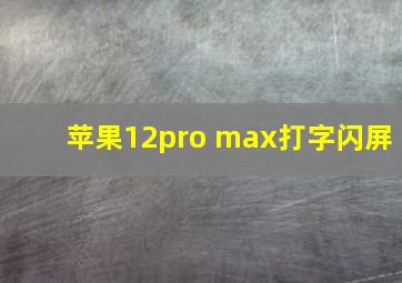 苹果12pro max打字闪屏