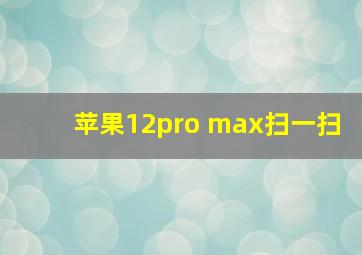 苹果12pro max扫一扫