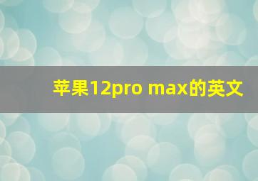 苹果12pro max的英文