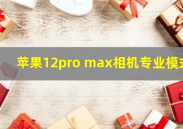 苹果12pro max相机专业模式