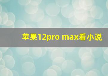 苹果12pro max看小说