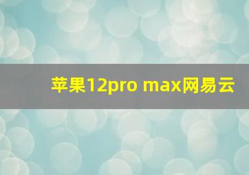 苹果12pro max网易云