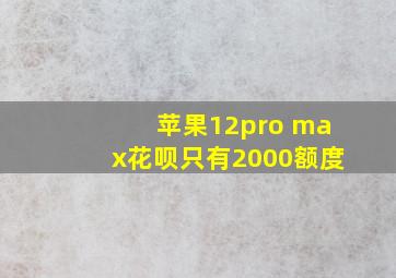 苹果12pro max花呗只有2000额度