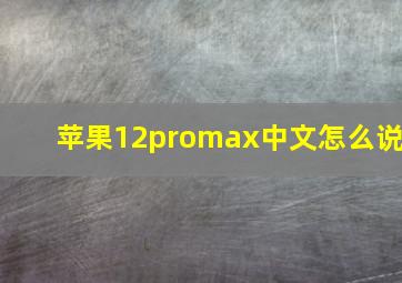 苹果12promax中文怎么说