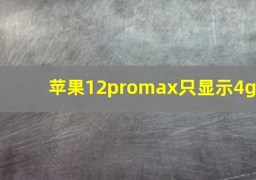 苹果12promax只显示4g