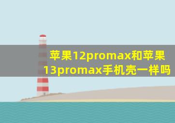 苹果12promax和苹果13promax手机壳一样吗