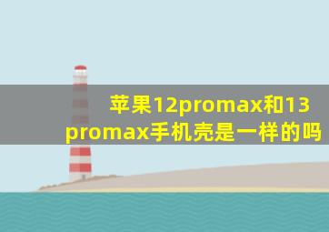 苹果12promax和13promax手机壳是一样的吗