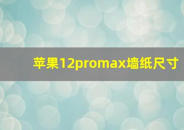 苹果12promax墙纸尺寸