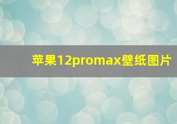 苹果12promax壁纸图片