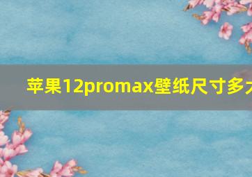 苹果12promax壁纸尺寸多大