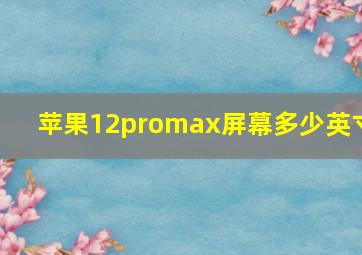 苹果12promax屏幕多少英寸