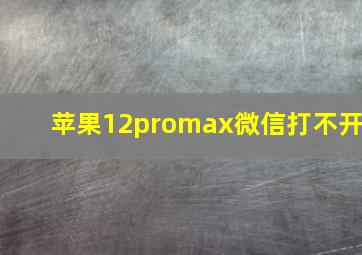 苹果12promax微信打不开