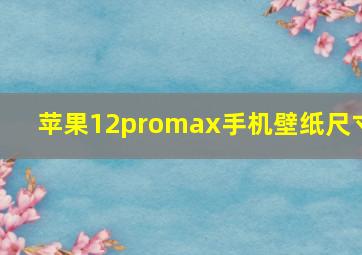 苹果12promax手机壁纸尺寸