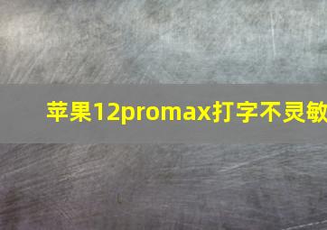 苹果12promax打字不灵敏