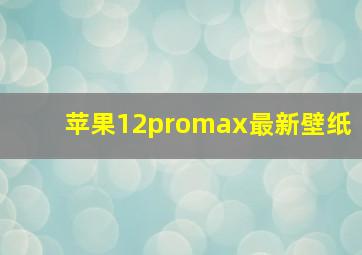 苹果12promax最新壁纸