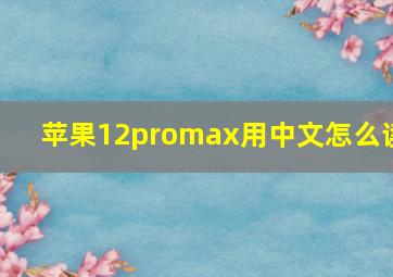 苹果12promax用中文怎么读