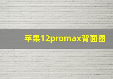 苹果12promax背面图