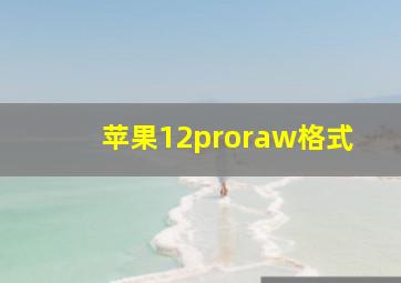 苹果12proraw格式