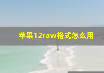 苹果12raw格式怎么用