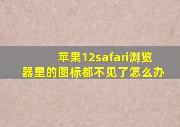 苹果12safari浏览器里的图标都不见了怎么办