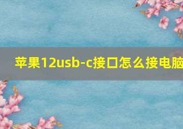 苹果12usb-c接口怎么接电脑