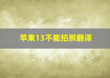 苹果13不能拍照翻译