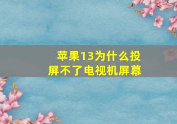 苹果13为什么投屏不了电视机屏幕