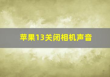 苹果13关闭相机声音