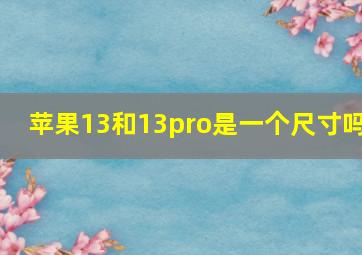 苹果13和13pro是一个尺寸吗