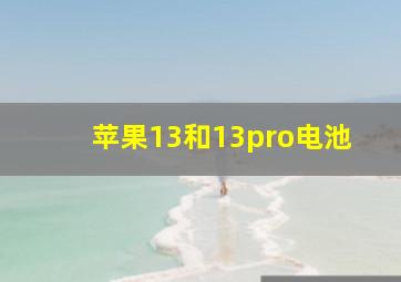 苹果13和13pro电池