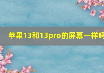 苹果13和13pro的屏幕一样吗