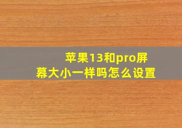 苹果13和pro屏幕大小一样吗怎么设置