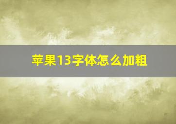 苹果13字体怎么加粗