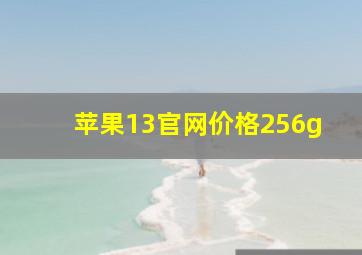 苹果13官网价格256g