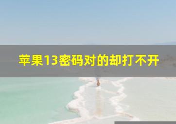 苹果13密码对的却打不开