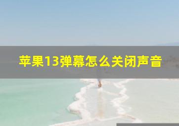 苹果13弹幕怎么关闭声音