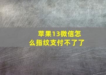 苹果13微信怎么指纹支付不了了