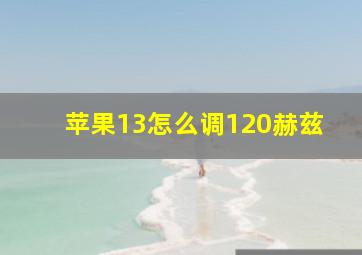 苹果13怎么调120赫兹