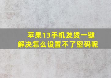 苹果13手机发烫一键解决怎么设置不了密码呢