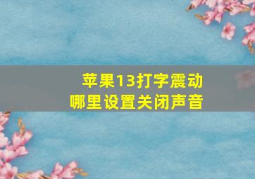 苹果13打字震动哪里设置关闭声音