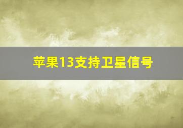 苹果13支持卫星信号