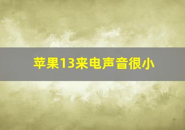 苹果13来电声音很小