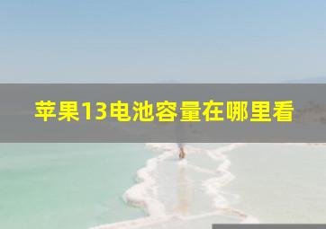 苹果13电池容量在哪里看