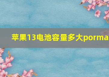 苹果13电池容量多大pormax