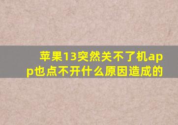 苹果13突然关不了机app也点不开什么原因造成的