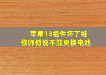 苹果13组件坏了维修师傅说不能更换电池