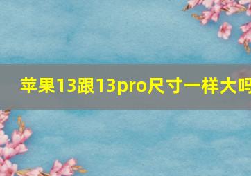 苹果13跟13pro尺寸一样大吗